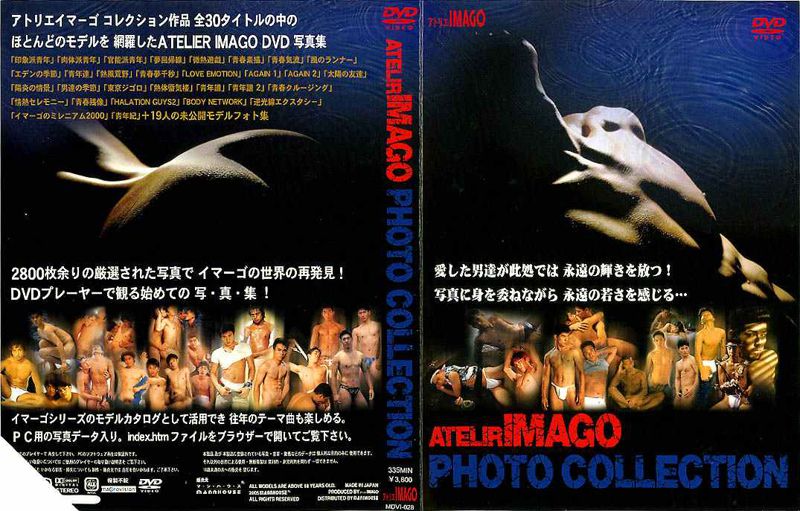 ATELIR IMAGO PHOTO COLLECTION 中年胖熊-第1张
